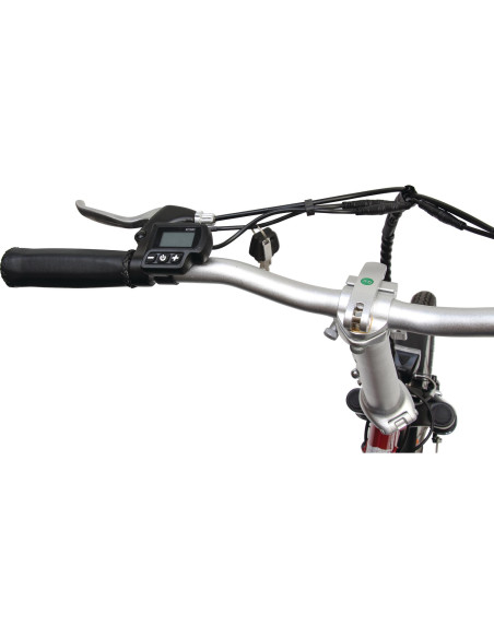 EZA Vélo à assistance électrique Confort 20'' Noir 13Ah