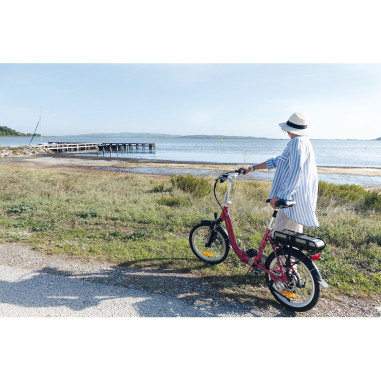 EZA Vélo à assistance électrique Confort 20'' Rouge 10,4Ah