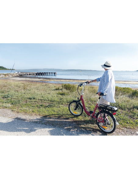 EZA Vélo à assistance électrique Confort 20'' Rouge 10,4Ah