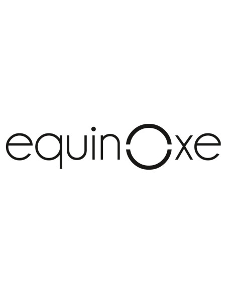 EQUINOXE Caméra de recul filaire Double optique blanche