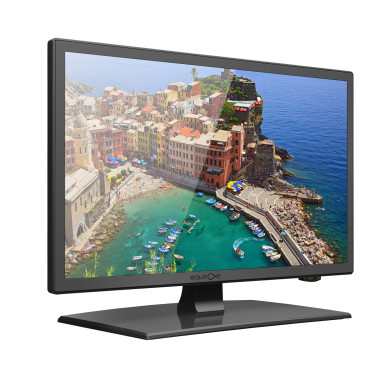 Téléviseur LED HD ultra compact 18,5'' (47 cm) + DVD