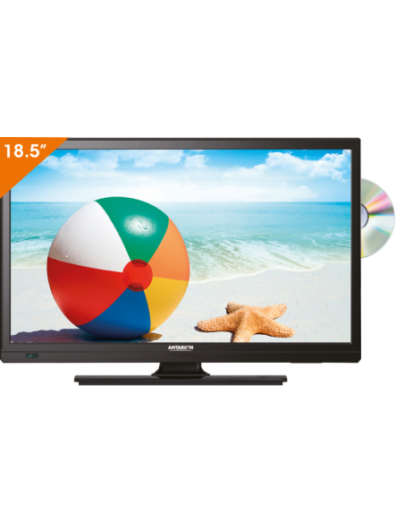 Pack ANTARION Antenne TNT Omnidirectionnelle + TV 19" DVD