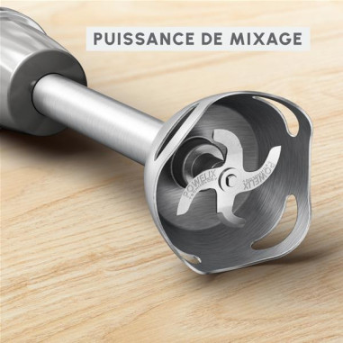 Mixeur plongeant - DD672B10
