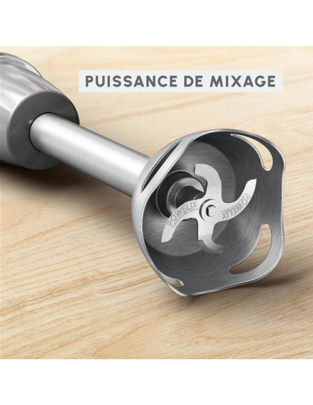 Mixeur plongeant - DD672B10
