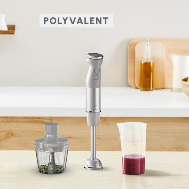 Mixeur plongeant - DD672B10