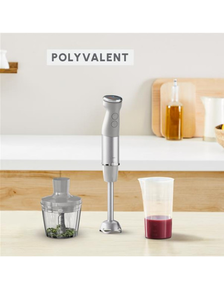 Mixeur plongeant - DD672B10