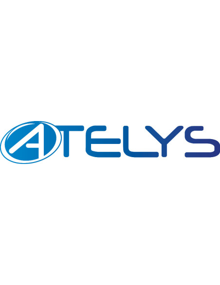ATELYS Caméra extérieure 2K Tuya motorisée WiFi avec vision nocturne