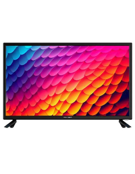SCHNEIDER TV LED HDTV - 24BN4