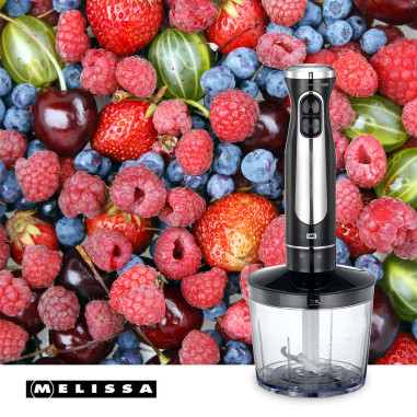 MELISSA 16210069 Batteur en bâton avec hacheur et fouet 600W Noir / Acier inoxydable