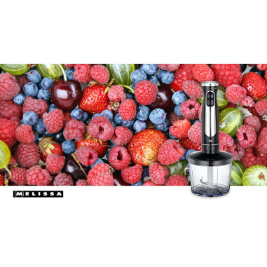 MELISSA 16210069 Batteur en bâton avec hacheur et fouet 600W Noir / Acier inoxydable