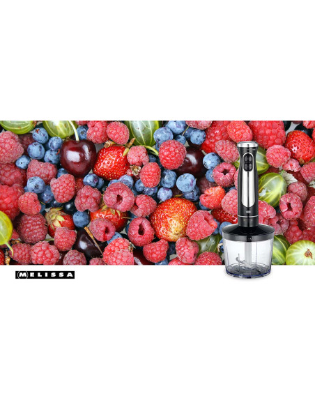 MELISSA 16210069 Batteur en bâton avec hacheur et fouet 600W Noir / Acier inoxydable