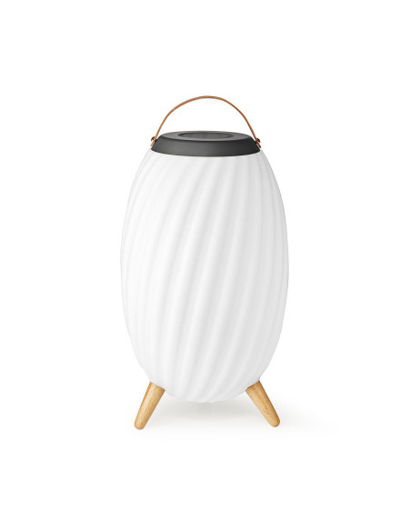 Nedis SPBT35810WT Haut parleur Bluetooth avec lumière d'ambiance