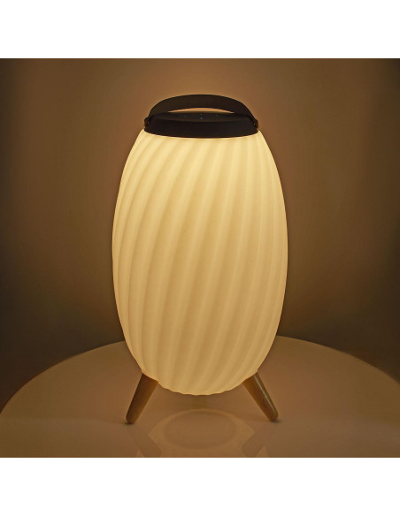 Nedis SPBT35810WT Haut parleur Bluetooth avec lumière d'ambiance