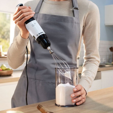 Mixeur plongeant - MSM4W221