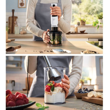 Mixeur plongeant - MSM4W221