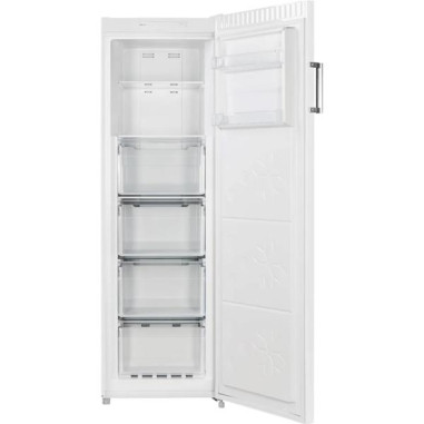 Congélateur armoire No-Frost FNF6206EW