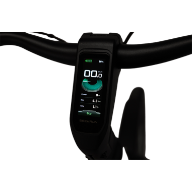 Vélo électrique ALDEN AIO e-Boost Silencieux Autonomie +