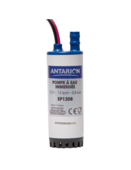 ANTARION Pompe immergée 12 Litres / minute (0.8 bar)