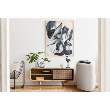 Climatiseur mobile - BA309C