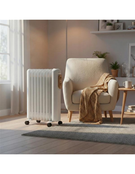 Radiateur à bain d'huile ORION2500