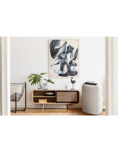 Climatiseur mobile - BA309C