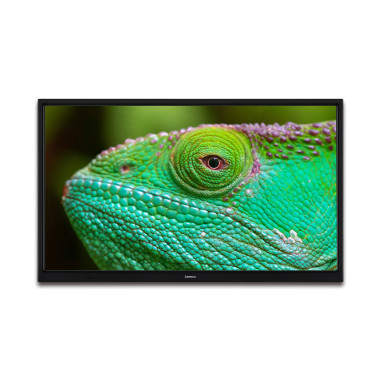 Lenco LED-2423BK TV LED HD 24 pouces avec DVB-T2 DVB-C DVB-S2 12V Noir